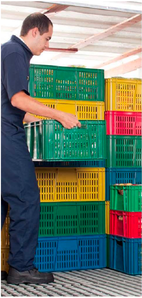 CANASTILLAS PLASTICAS MARCA ESTRA